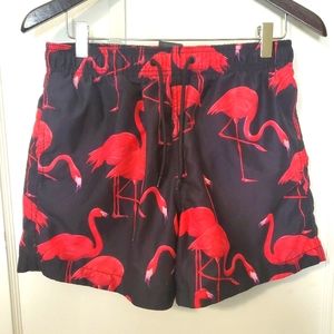 swim shorts